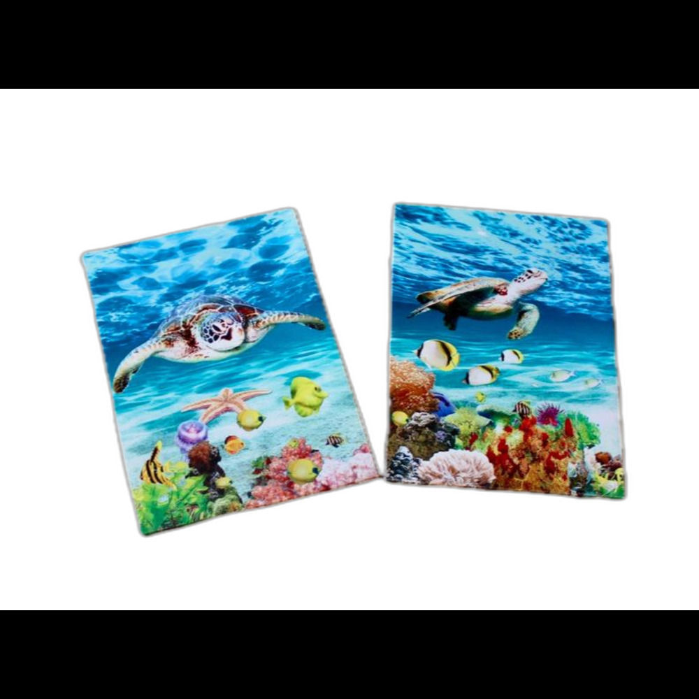 Sea Turtle on Ocean Reef Canvas Wrap Print Picture Coastal Wall Art Decor Set